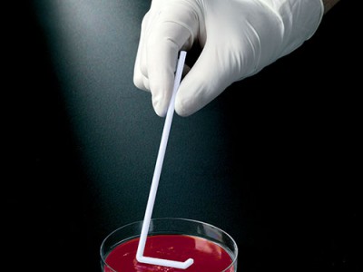 Шпателі Дригальського