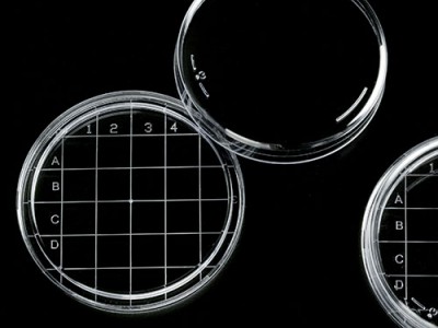 Чашки контактні Родака