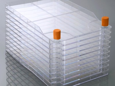 Клітинні фабрики вузькогорлі