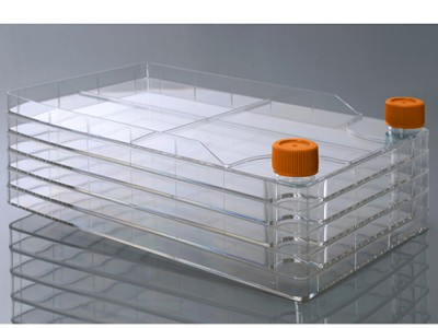 Клітинні фабрики широкогорлі